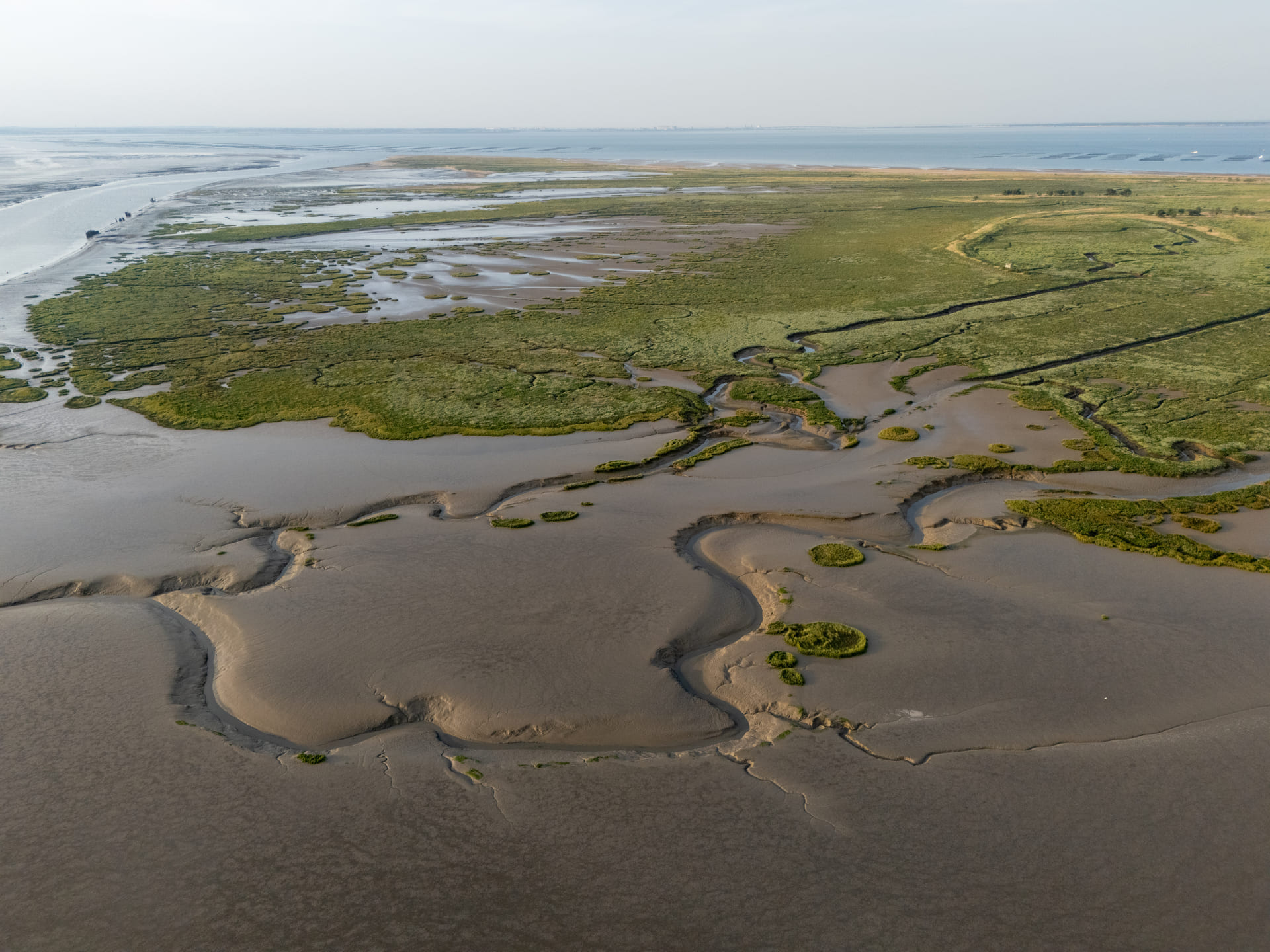 camping proche de la pointe d arcay