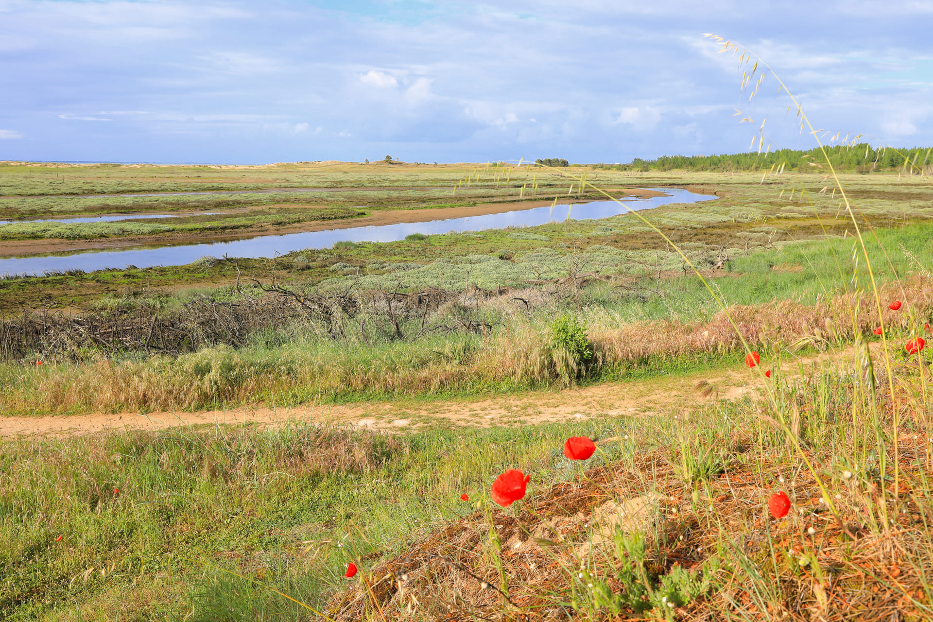camping proche de la reserve de la belle henriette