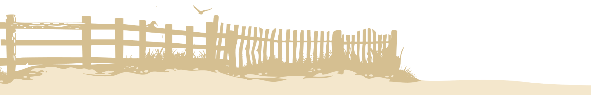 dessin bord de plage