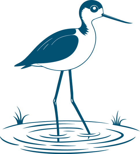 dessin oiseau bleu